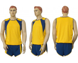 Форма легкоатлетическая Барс мужская м1 желто-синяя