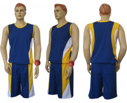 Форма баскетбольная Барс м3 сине-желтая