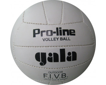 Мяч волейбольный Gala