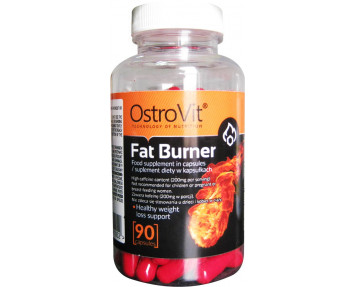 Fat Burner 90 tab (Ostrovit)