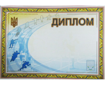 Диплом   191