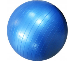 Мяч для фитнеса fi 1980