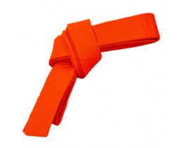 Пояс для кимано оранжевый CO-4074